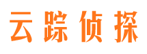 运河市私家侦探